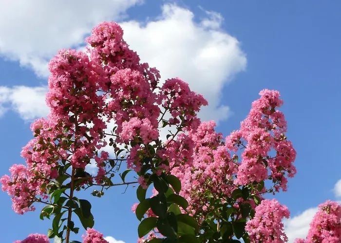 דירה Harmony Hills Poseidon *